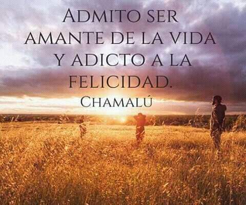 Admito ser amante de la vida y adicto a la felicidad - Chamalú.