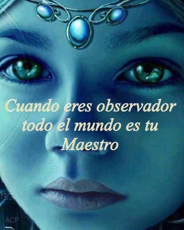 Cuando eres observador todo el mundo es tu maestro.