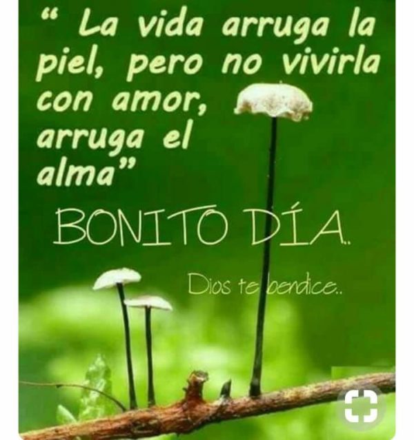 La vida arruga la piel, pero no vivirla con amor, arruga el alma.