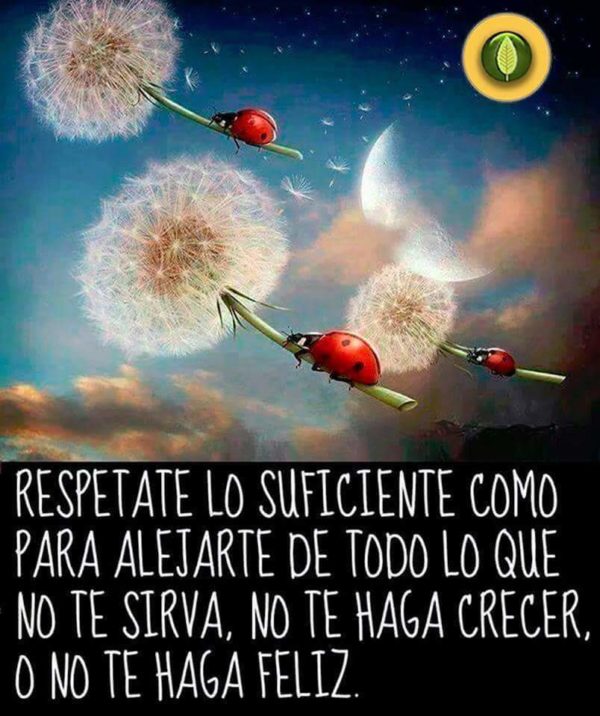 Respétate lo suficiente como para alejarte de todo lo que no te sirva, no te haga crecer, o no te haga feliz.
