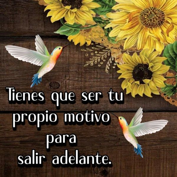 Tienes que ser tu propio motivo para salir adelante.
