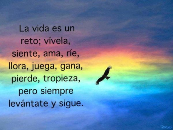La vida es un reto; vívela, siente, ama, ríe, llora, juega, gana, pierde, tropieza, pero siempre levántate y sigue.