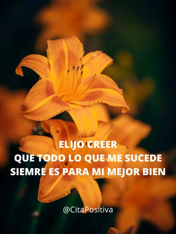Elijo creer que todo lo que me sucede siempre es para mi mejor bien