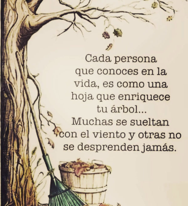 Cada persona que conoces en la vida, es como una hoja que enriquece tu árbol. Muchas se sueltan con el viento y otras no se desprenden jamás.