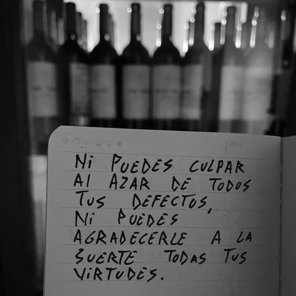 Ni puedes culpar al azar de todos tus defectos, ni puedes agradecerle a la suerte todas tus virtudes - Introspicere.