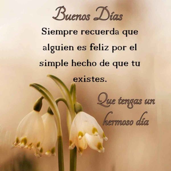 Siempre recuerda que alguien es feliz por el simple hecho de que tu existes.