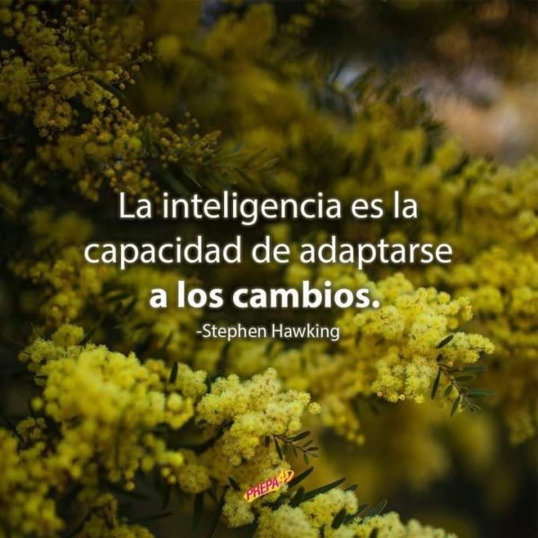 La inteligencia es la capacidad de adaptarse a los cambios - Stephen Hawking.