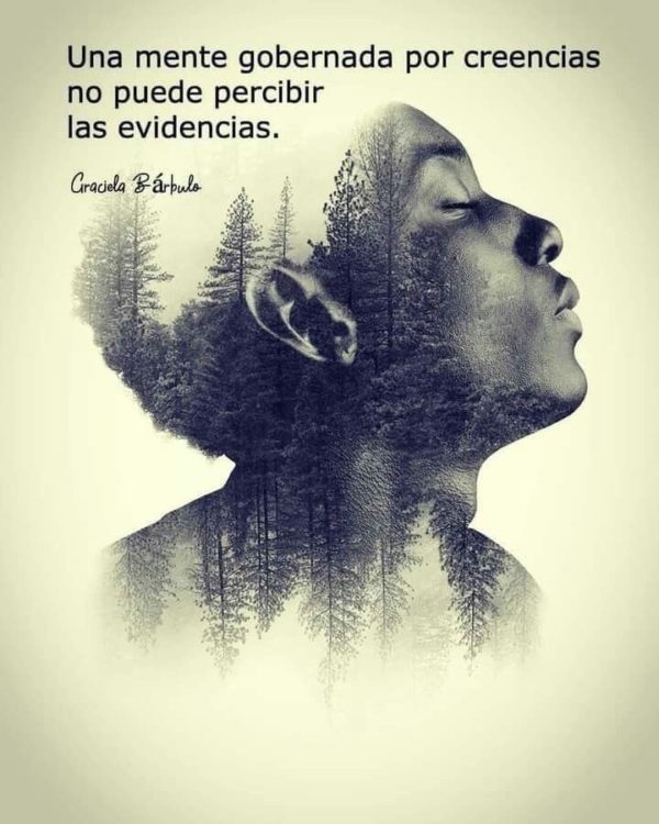 Una mente gobernada por creencias no puede percibir las evidencias - Graciela Bárbulo.